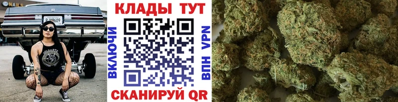 Магазины продажи наркотиков Елизаветинская Конопля  Cocaine  мега как зайти  Alpha PVP  Галлюциногенные грибы  Меф  Гашиш 