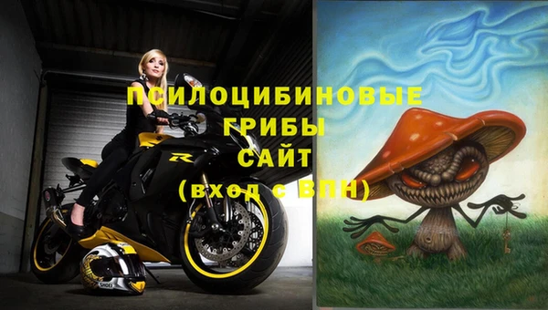 альфа пвп Алексеевка