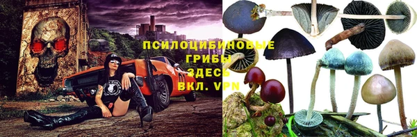 мяу мяу мука Абдулино